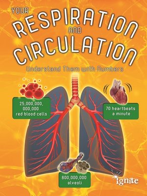 cover image of Your Respiration and Circulation